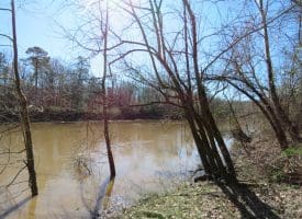 140+/- Acres of River Front Hunting Land For Sale in Bladen County NC!