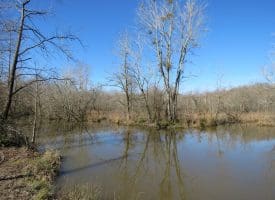 140+/- Acres of River Front Hunting Land For Sale in Bladen County NC!