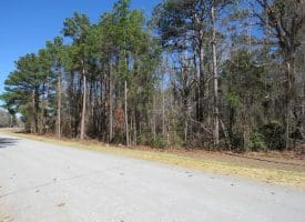 140+/- Acres of River Front Hunting Land For Sale in Bladen County NC!