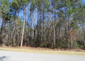 140+/- Acres of River Front Hunting Land For Sale in Bladen County NC!