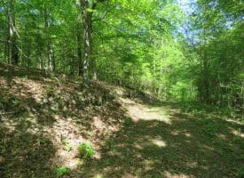 140+/- Acres of River Front Hunting Land For Sale in Bladen County NC!