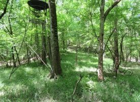 140+/- Acres of River Front Hunting Land For Sale in Bladen County NC!