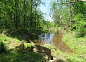 140+/- Acres of River Front Hunting Land For Sale in Bladen County NC!