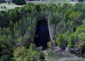 15 +/- Acre Farm With Pond For Sale in Robeson County NC!