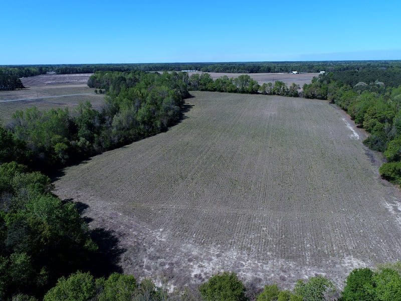 42+/ Acres of Farm and Hunting Land For Sale in Robeson County NC