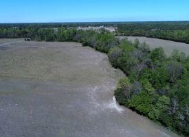 4+/- Acre Lot For Sale in Robeson County NC!