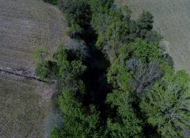 4+/- Acre Lot For Sale in Robeson County NC!