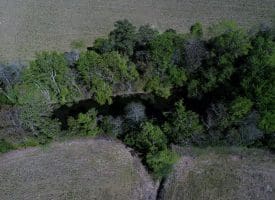 4+/- Acre Lot For Sale in Robeson County NC!
