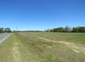 15 +/- Acre Farm With Pond For Sale in Robeson County NC!