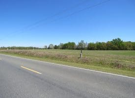 15 +/- Acre Farm With Pond For Sale in Robeson County NC!