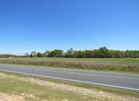 15 +/- Acre Farm With Pond For Sale in Robeson County NC!
