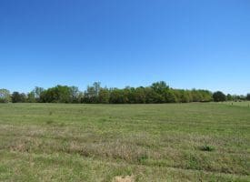15 +/- Acre Farm With Pond For Sale in Robeson County NC!