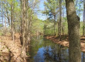 15 +/- Acre Farm With Pond For Sale in Robeson County NC!