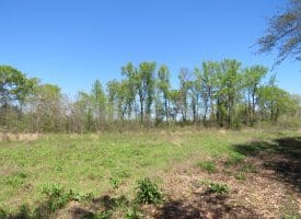15 +/- Acre Farm With Pond For Sale in Robeson County NC!