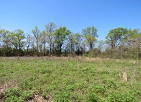 15 +/- Acre Farm With Pond For Sale in Robeson County NC!