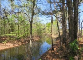 15 +/- Acre Farm With Pond For Sale in Robeson County NC!