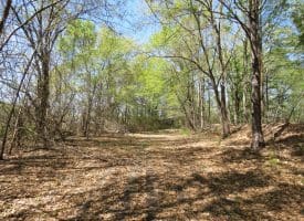15 +/- Acre Farm With Pond For Sale in Robeson County NC!