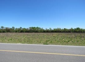 6+/- Acre Lot For Sale in Robeson County NC!