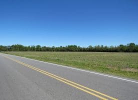 5+/- Acre Lot For Sale in Robeson County NC!