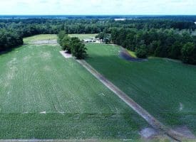 25 +/- Acres of Farm Land For Sale in Robeson County, NC