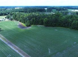 25 +/- Acres of Farm Land For Sale in Robeson County, NC