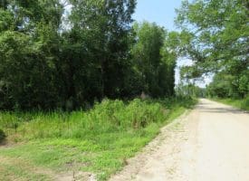 25 +/- Acres of Farm Land For Sale in Robeson County, NC