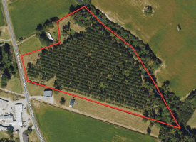 13+/- Acre Estate Lot For Sale in Robeson County NC!