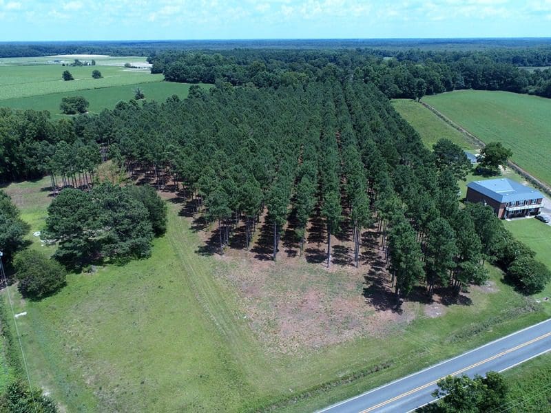 13+/ Acre Estate Lot For Sale in Robeson County NC! Rock Creek Land