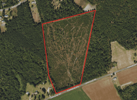30+/- Acres of Land For Sale in Robeson County NC!