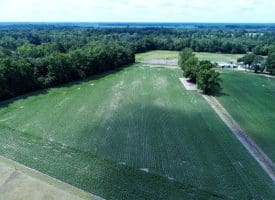 25+/- Acres of Farm Land For Sale in Robeson County NC!