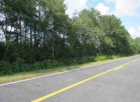 30+/- Acres of Land For Sale in Robeson County NC!