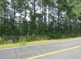 30+/- Acres of Land For Sale in Robeson County NC!