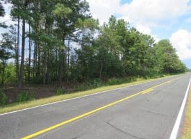 30+/- Acres of Land For Sale in Robeson County NC!