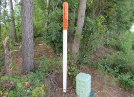 30+/- Acres of Land For Sale in Robeson County NC!