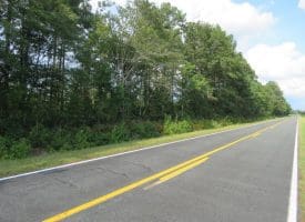 30+/- Acres of Land For Sale in Robeson County NC!