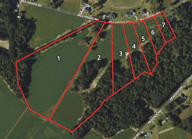 14.65+/- Acres of Farm Land For Sale in Columbus County NC Tract 1