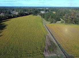 14.65+/- Acres of Farm Land For Sale in Columbus County NC Tract 1