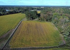 14.65+/- Acres of Farm Land For Sale in Columbus County NC Tract 1