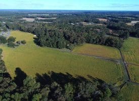 14.65+/- Acres of Farm Land For Sale in Columbus County NC Tract 1