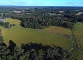 Tract 7-1.16 Acres Bill Hooks Rd Whiteville, NC