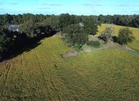14.65+/- Acres of Farm Land For Sale in Columbus County NC Tract 1