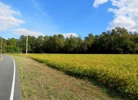 Tract 7-1.16 Acres Bill Hooks Rd Whiteville, NC