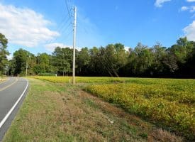 Tract 7-1.16 Acres Bill Hooks Rd Whiteville, NC