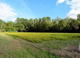 Tract 7-1.16 Acres Bill Hooks Rd Whiteville, NC