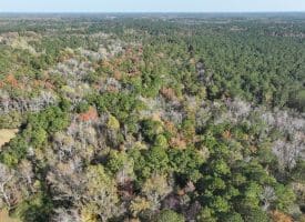 12.19 +/- Residential or Recreational Land on Mille Christine Rd in Whiteville NC