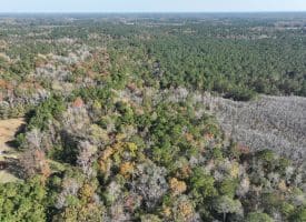 12.19 +/- Residential or Recreational Land on Mille Christine Rd in Whiteville NC