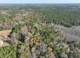 12.19 +/- Residential or Recreational Land on Mille Christine Rd in Whiteville NC