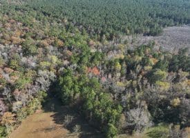 12.19 +/- Residential or Recreational Land on Mille Christine Rd in Whiteville NC