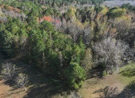 12.19 +/- Residential or Recreational Land on Mille Christine Rd in Whiteville NC