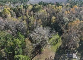 12.19 +/- Residential or Recreational Land on Mille Christine Rd in Whiteville NC